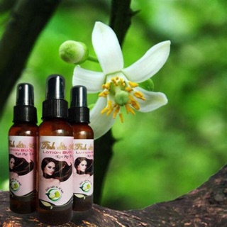 Tinh dầu bưởi siêu kích thích mọc tóc và ngăn rụng tóc