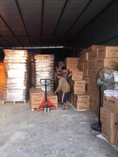 100 Lọ bi lăn 10ml