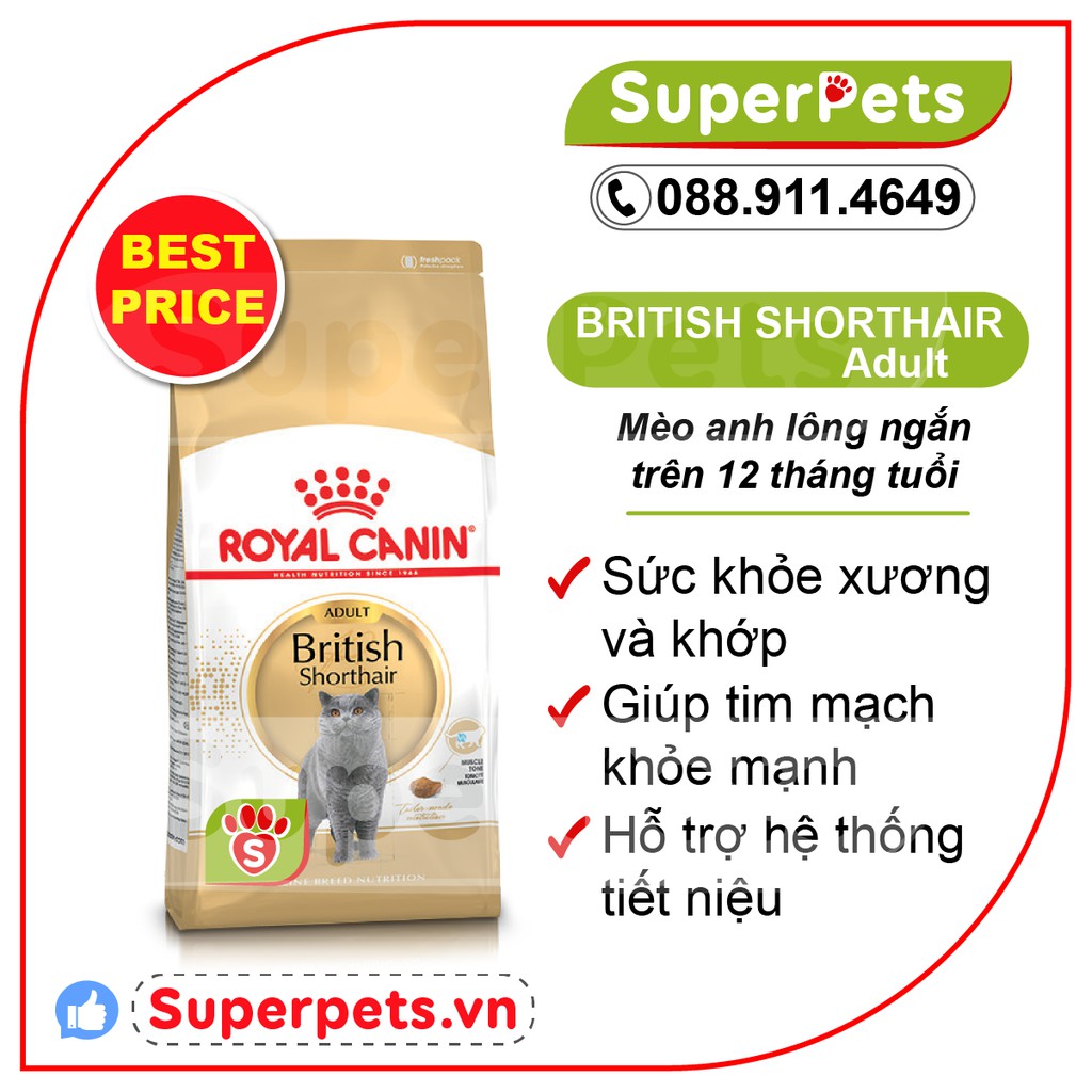 Thức Ăn Cho Mèo British Shorthair Persian Kitten Adult Royal Canin Chính Hãng Nhập Pháp SUPERPETS VIỆT NAM