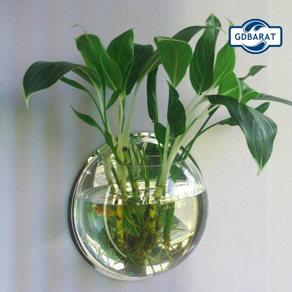 Bình Hoa Treo Tường Bằng Nhựa Acrylic Trong Suốt Thiết Kế Sáng Tạo Độc Đáo