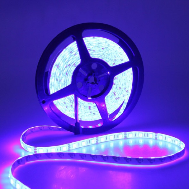 Đèn led dây RGB 5050