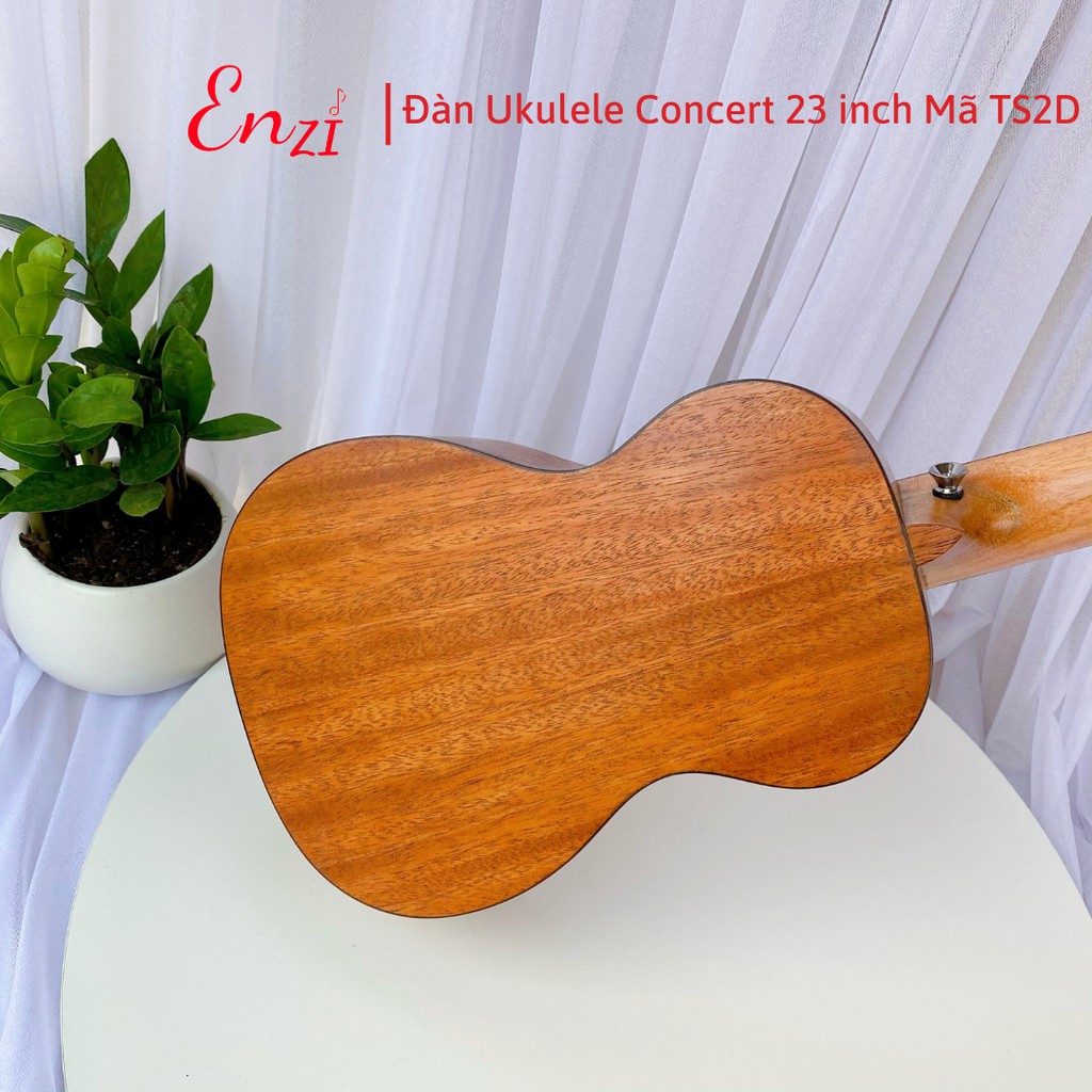 Đàn ukulele concert TS2D Enzi 23 inch gỗ mộc viền mặt trời khóa đúc giá rẻ cho bạn mới bắt đầu tập chơi