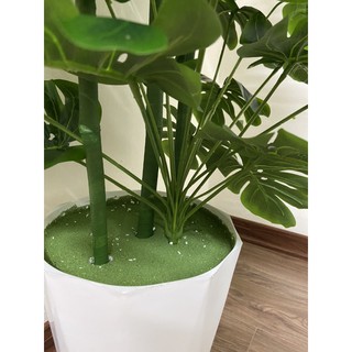 Cây trầu bà lá xẻ cao 1m5 - 72 lá - cây giả trang trí decor nhà