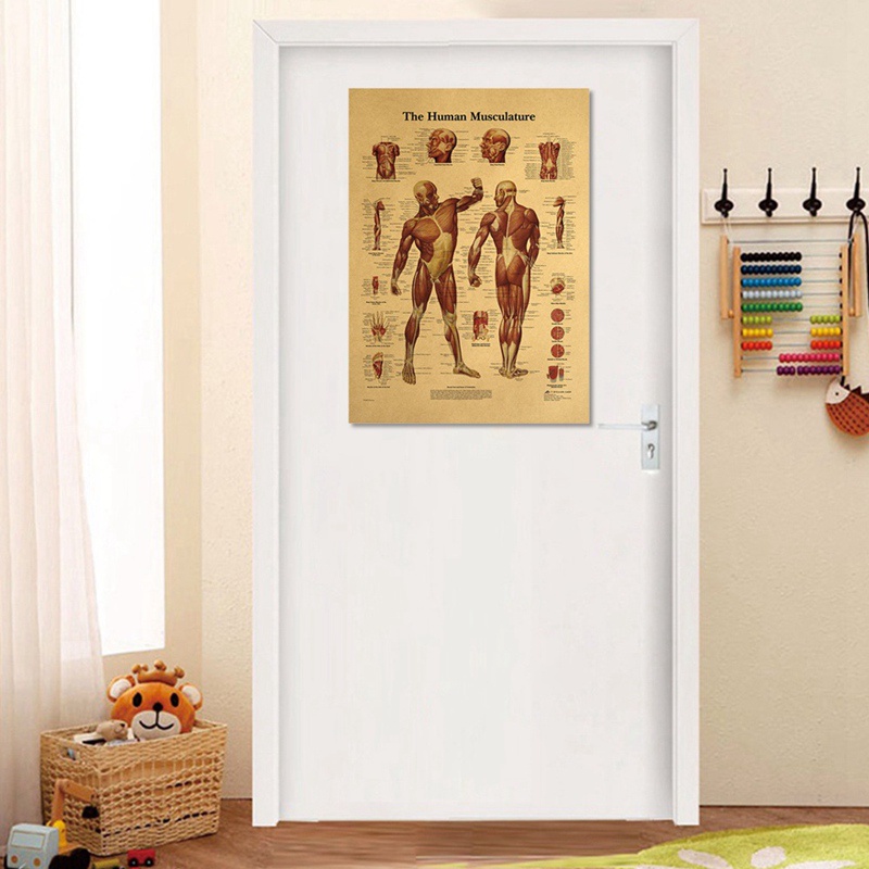 Tranh Vải Bạt Treo Tường In Hình Giải Phẫu Cơ Thể Người Trang Trí Nhà Cửa