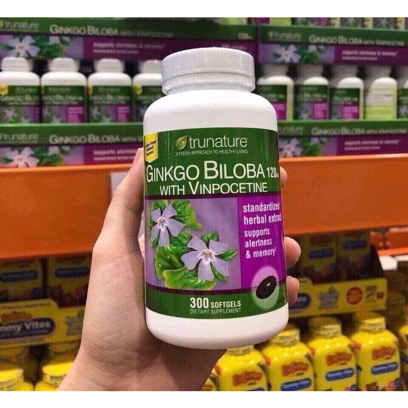 Ginkgo Biloba 120mg 300v