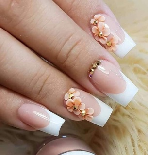 Cọ phen đầu móng trắng thân gỗ