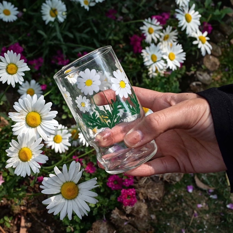 Ly Thuỷ Tinh Hoa Cúc Đế Kiểu - LY1165