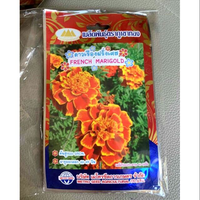 CÚC VẠN THỌ BAN MAI THÁI LAN