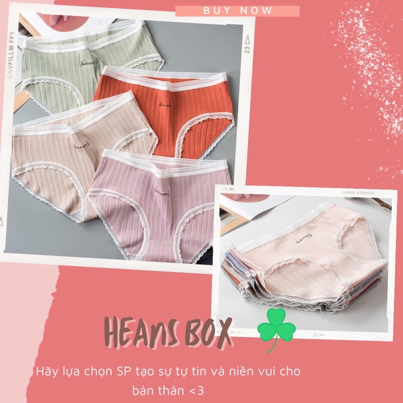 Quần chíp cotton thoát khí thoáng mát, hàng chất lượng cao, giá rẻ cho học sinh,sinh viên