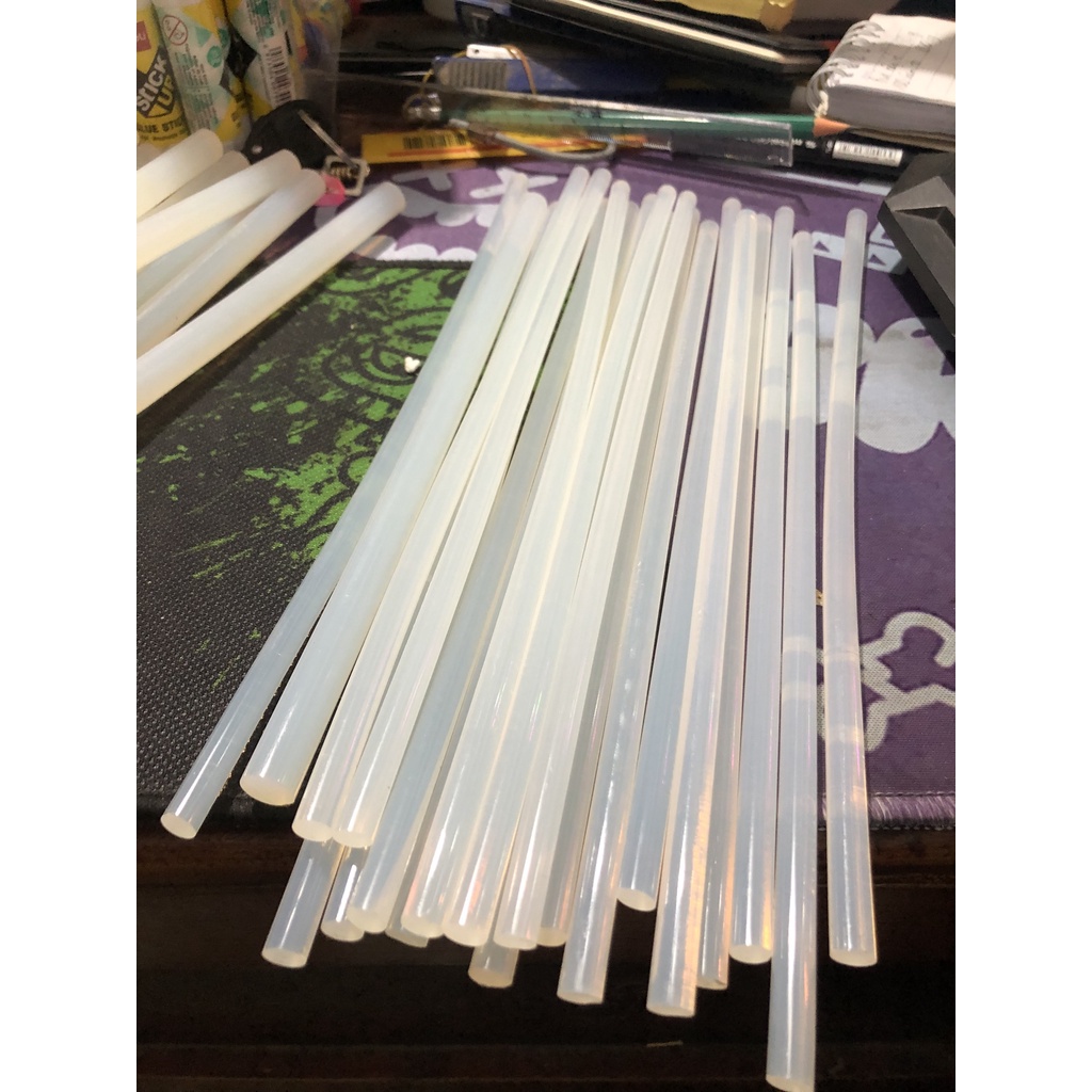 Keo nến - Cây keo nến bé 25cm