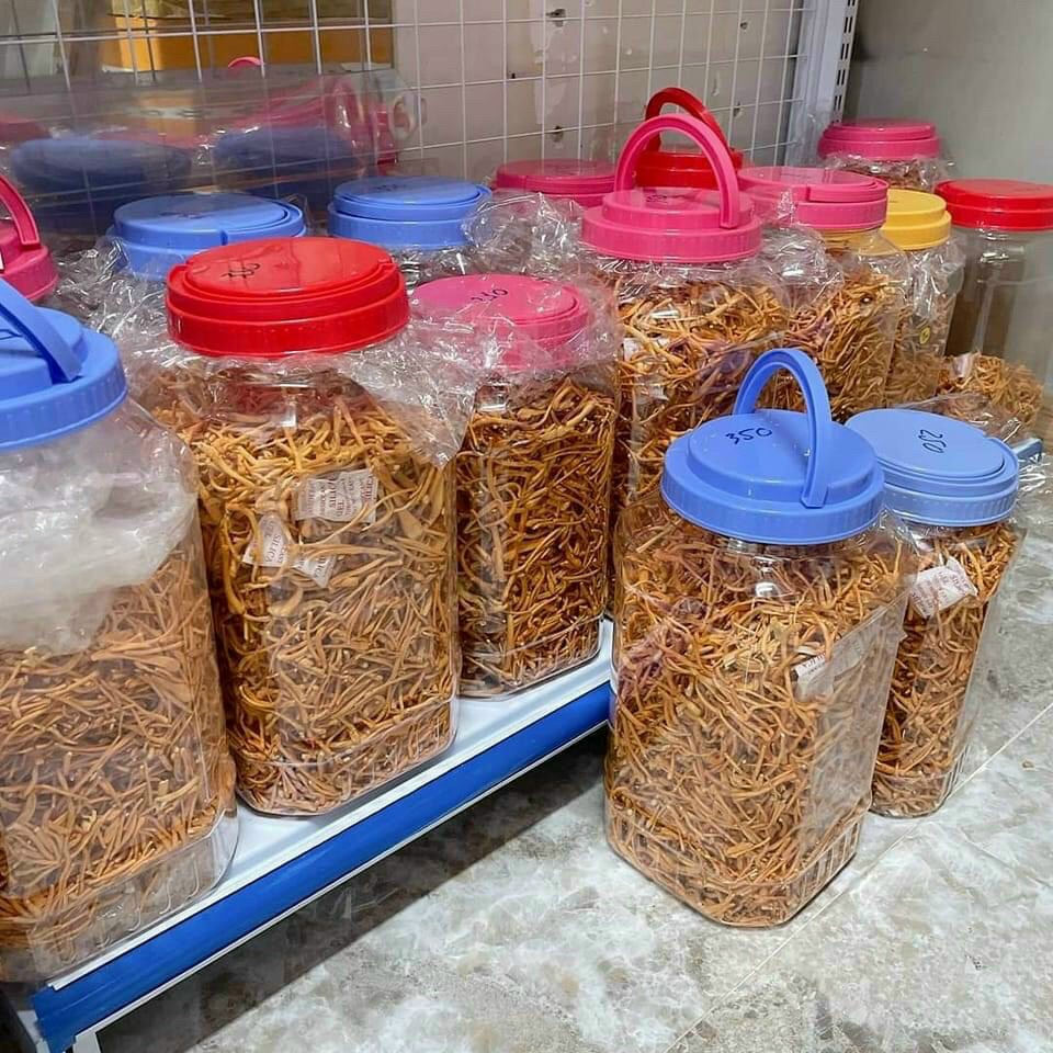 Hủ Nhựa 10Kg Duy Tân Có Quai, Đựng Thực Phẩm, Đông trùng hạ thảo