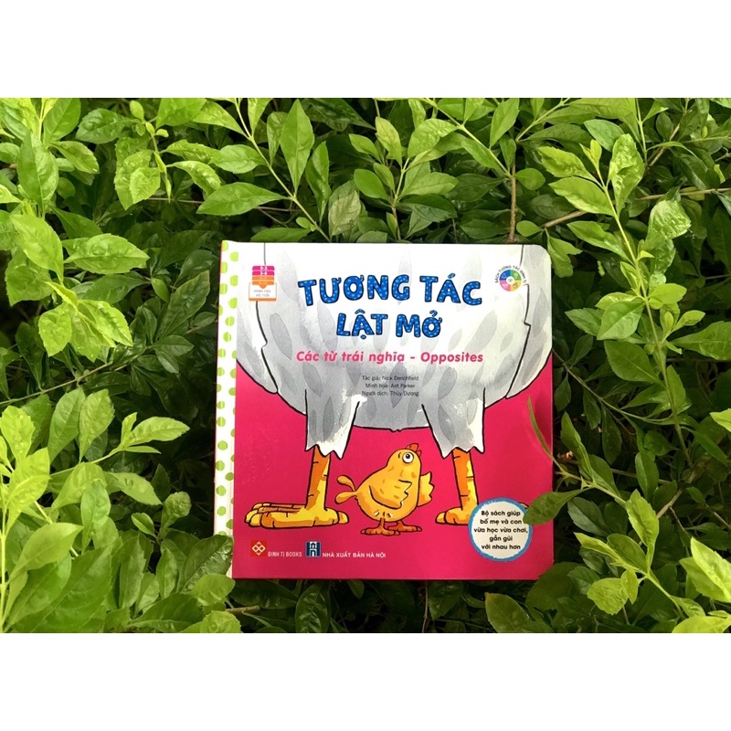 Sách-Tương tác lật mở - Các từ trái nghĩa - Opposites