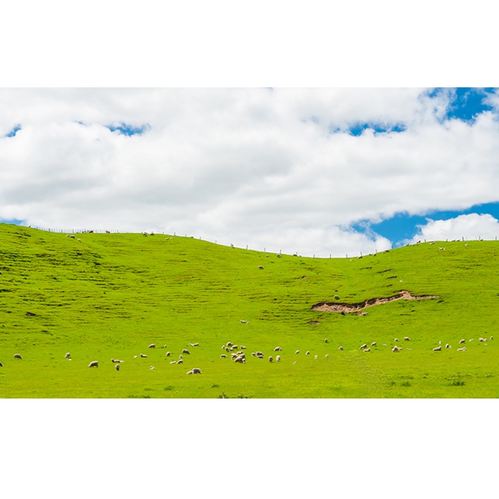 Sữa dưỡng Tonymoly thành phần tự nhiên 140ml