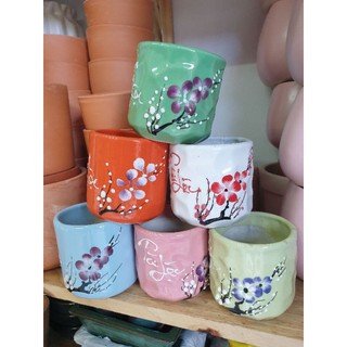 Chậu trồng cây hoa mai  xinh xắn, trồng sen đá, cây để bàn