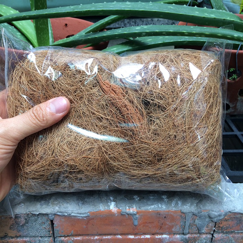 Sơ dừa sợi giá thể trồng cây và hoa kiểng, rất thích hợp cho lan, thoáng rễ giữ ẩm tốt, thể tích 2 lít - rabstore