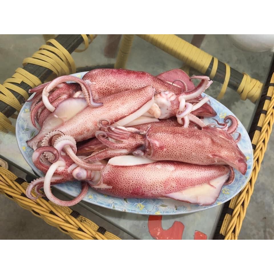 (DTFood-CHUYÊN SỈ) MỰC TRỨNG QUẢNG NINH SIZE TO SIÊU NGON GIÒN KHAY 1KG LÀM QUÀ BIẾU CỰC CHẤT