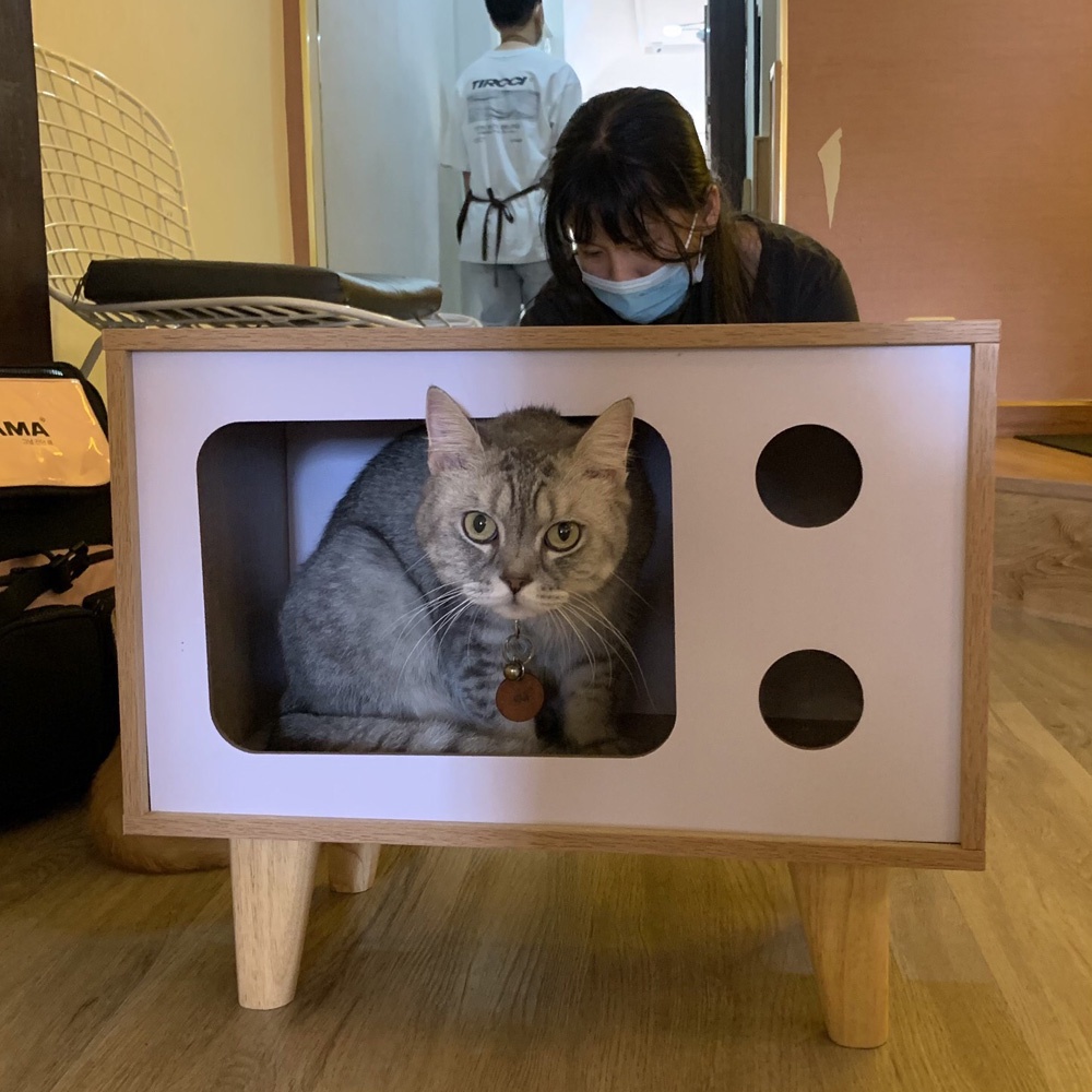 Nhà cho mèo, chuồng mèo gỗ giá rẻ mẫu tivi, thiết kế hiện đại, di chuyển linh hoạt  – SGP210