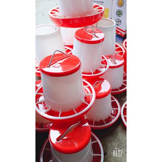 Máng ăn chống bới cho gà
