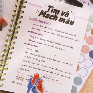 SỔ KLONG B5 200 trang B5 SỔ CARO Ô LY RUỘT CHẤM DOT GRID GÁY LÒ XO SIÊU DÀY BULLET JOURNAL