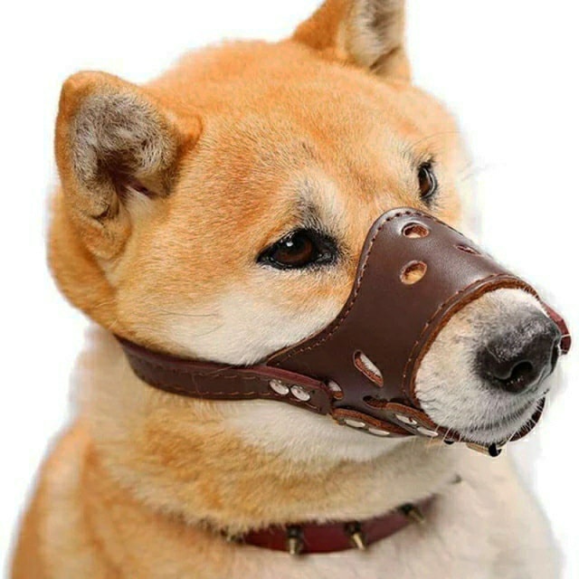 Rọ mõm da mềm có đai nới cho chó