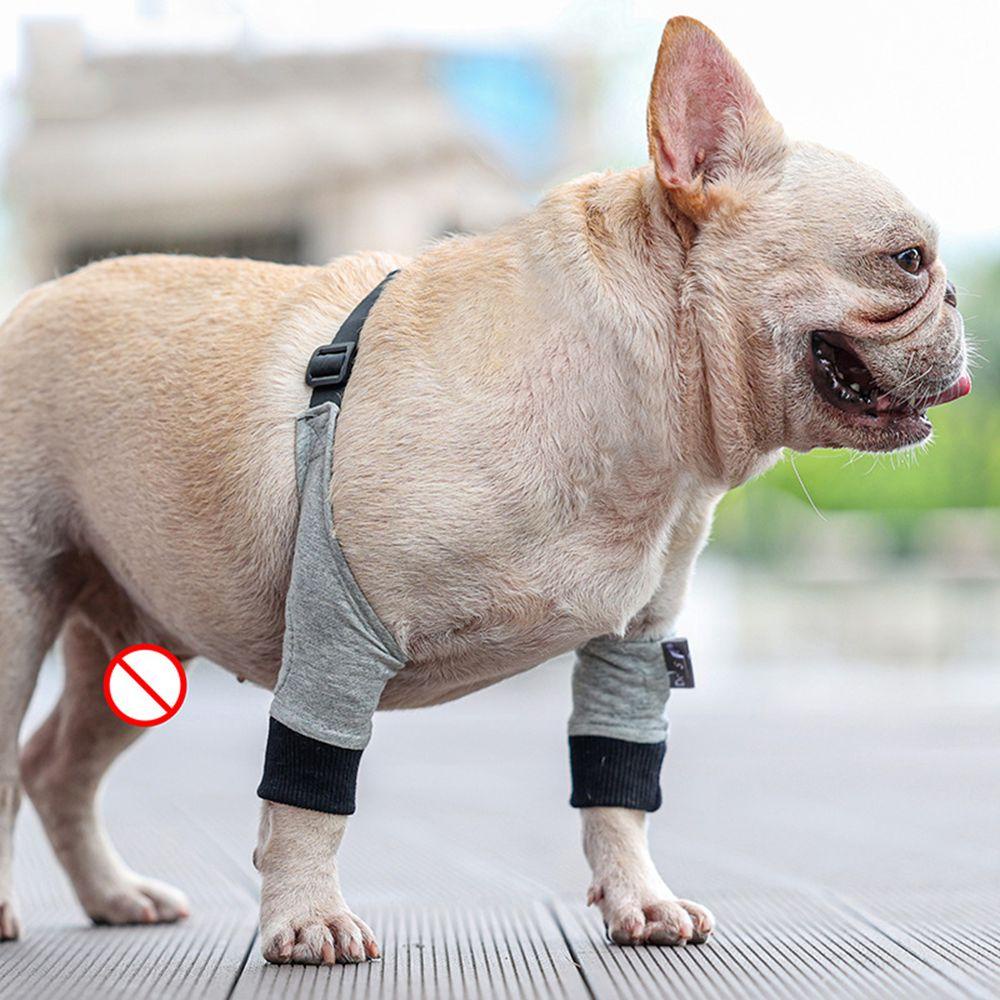 Vòng Đeo Chân Trước Bảo Vệ Chống Đá Cho Thú Cưng LAYOR1