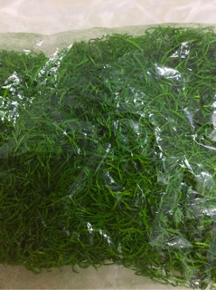 Cỏ giả trang trí 