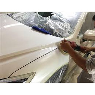 MÀN CHE SƠN 3M PLASTIC ( 0,45m hay 0,9m) X 20m chiều dài