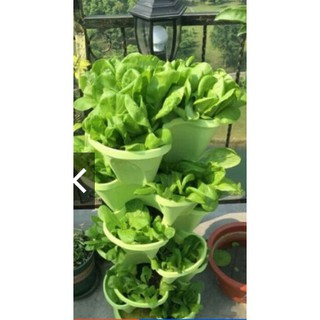 Chậu nhựa trồng hoa 6 tầng/ Chậu trồng cây thông minh