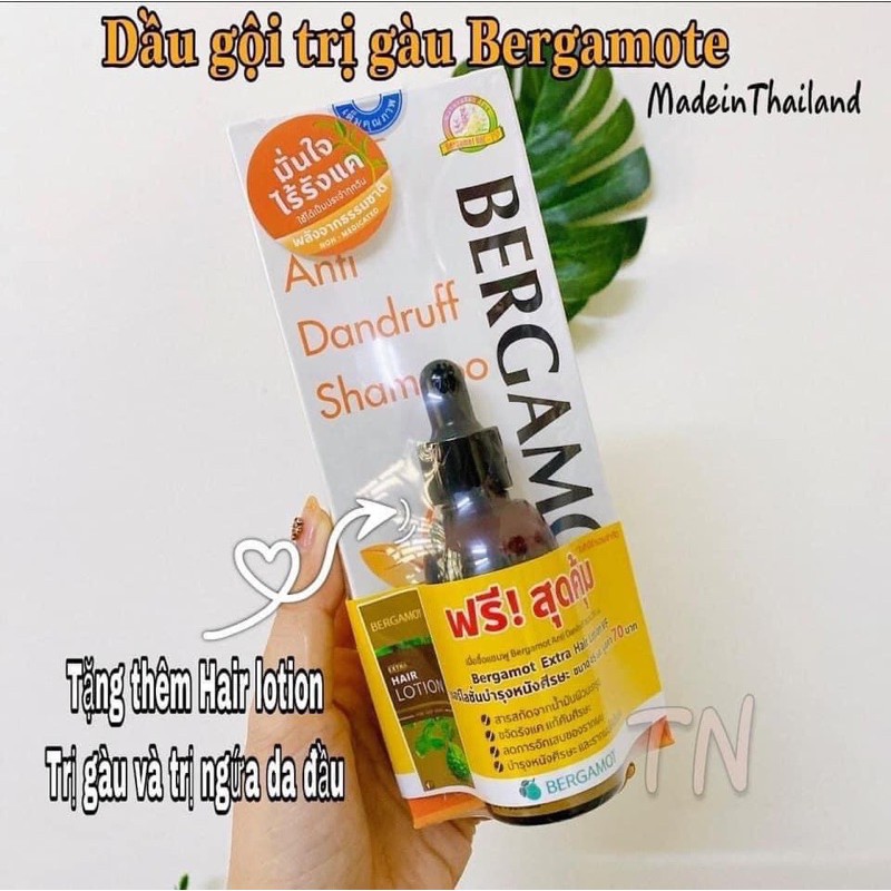 DẦU GỘI TRỊ GẦU bergamot thái lan