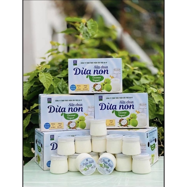 Sữa chua Dừa non