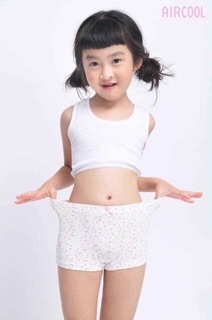 Chip đùi aircoll xuất Nhật