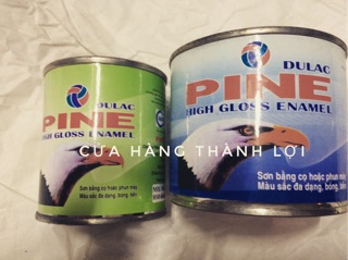 Sơn dầu hộp 100g