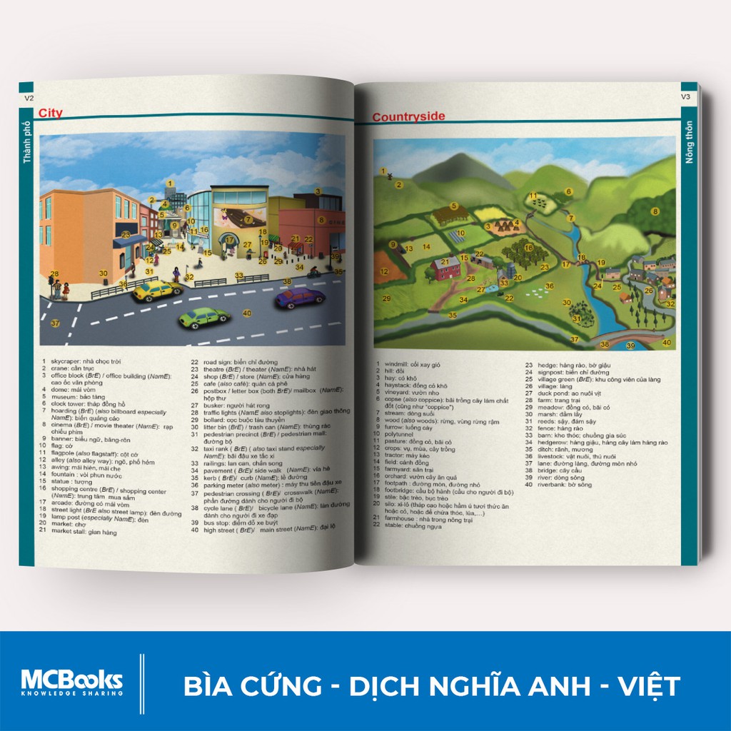 Sách - Từ Điển Anh Việt Phiên Bản Bìa Xanh Cứng - Giải Nghĩa Đầy Đủ Ví Dụ Phong Phú