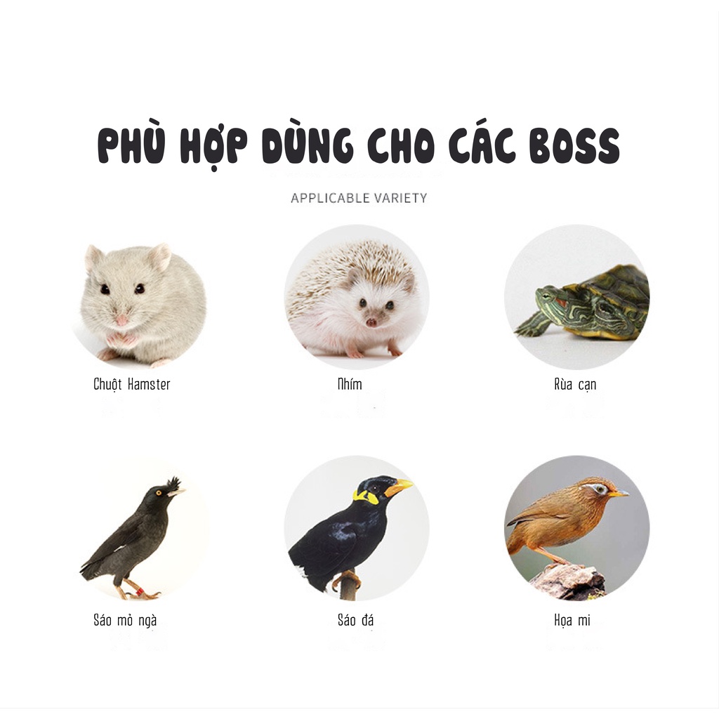 Sâu gạo sấy cho nhím, hamsrter, rùa cạn, sâu gạo cho chim, sáo mỏ ngà, sáo đá, họa mi hộp lớn 500ML hãng JONSANTY CST014