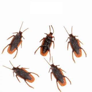 Đồ Chơi Hình Con Gián Độc Đáo