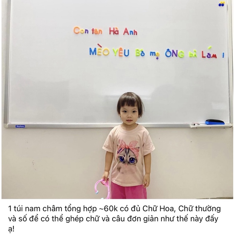 Bảng Từ, Chữ Cái Nam Châm Tiếng Anh, Tiếng Việt, Số BABY GLENN DOMAN