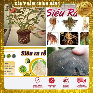 COMBO 02 SIÊU RA RỄ Tăng Lực cho cây