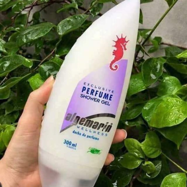 Sữa tắm cá ngựa