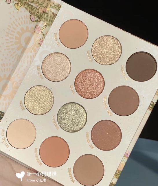 Bảng mắt Colourpop Wild Nothing