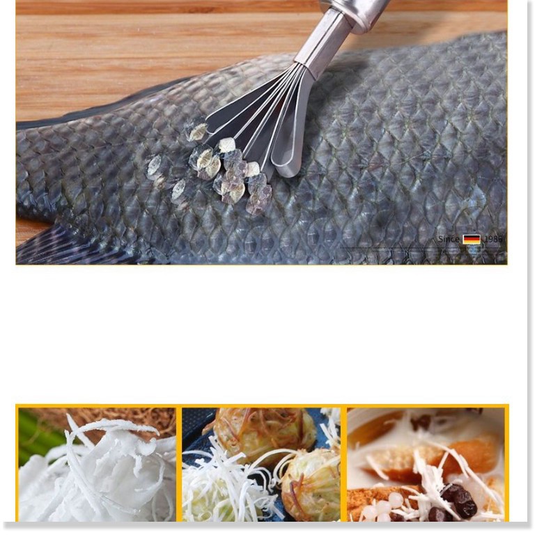 Đánh vảy cá  🔖1 ĐỔI 1 🔖  Cây cạo vảy cá, nạo dừa chất liệu thép không gỉ, bền bỉ 3176