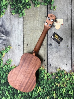 Đàn Ukulele Concert MTH-800 CB1