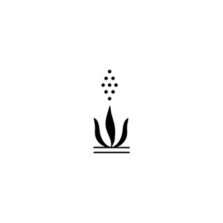 Khuôn decal cây
