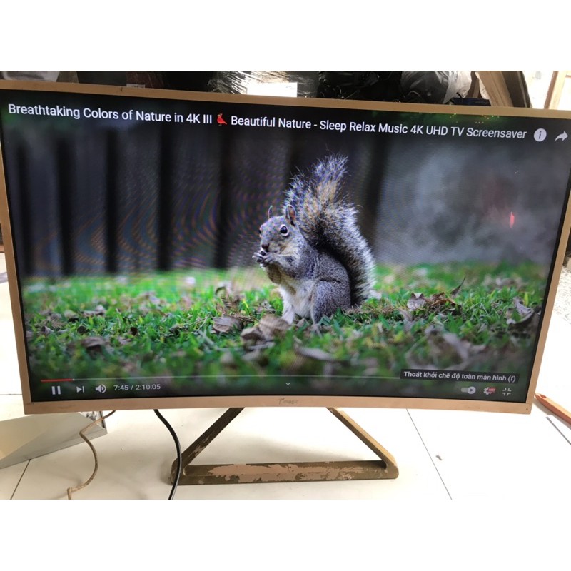 Màn hình 32" Cong vun vút full HD giá tốt | BigBuy360 - bigbuy360.vn