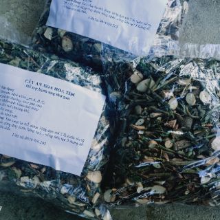(TẶNG HẠT GIỐNG AN XOA)  1kg Cây an xoa hoa tim