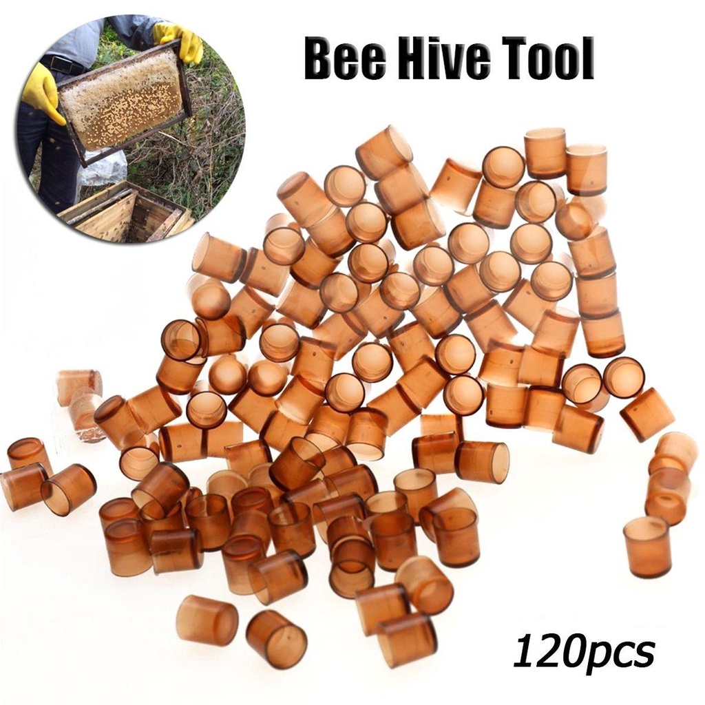 Bộ 120 Lồng Nuôi Ong Chuyên Dụng