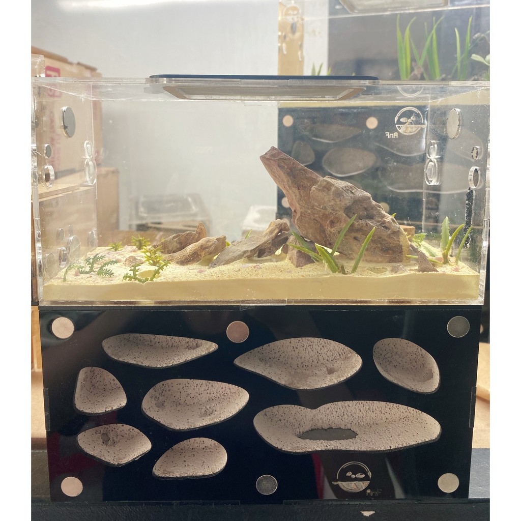 D03 - Ant farm - Formicarium - Hộp nuôi kiến - Chuồng nuôi kiến - Tank kiến - Nhà cho kiến