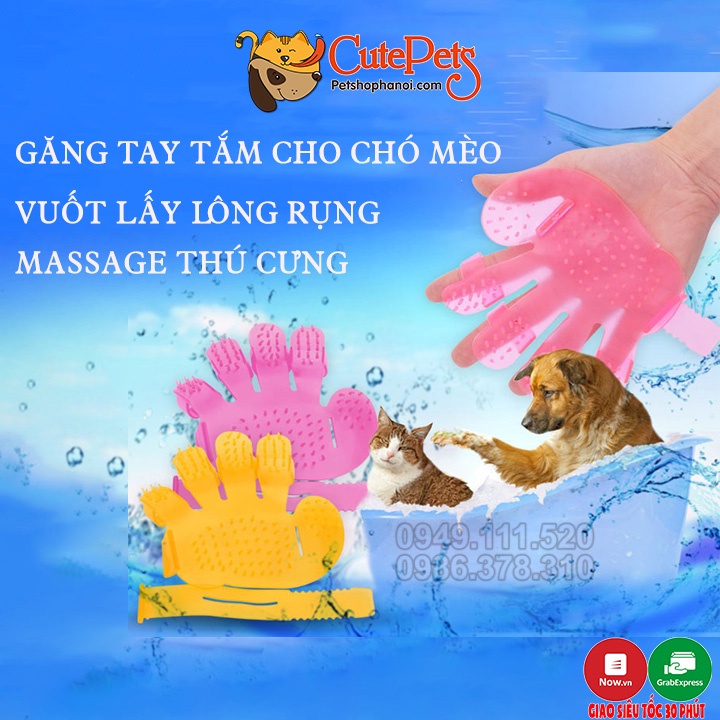 Găng tay nhựa tắm cho chó mèo - Phụ kiện thú cưng Hà Nội