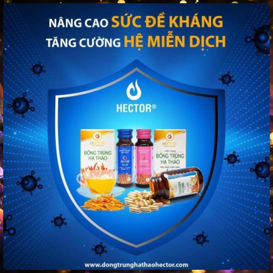 Viên Nang Đông trùng hạ thảo Hector Hộp (30vien)