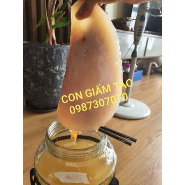 GIẤM TÁO HỮU CƠ DẤM TÁO THANH LỌC 1000ML