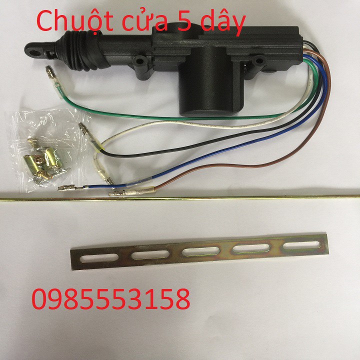 Chuột cửa ô tô , rút cửa, khiển 5 dây 12v 24v